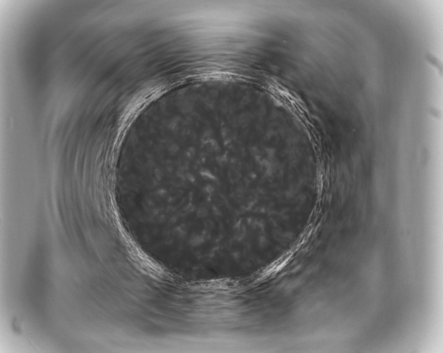 X0000099380049200805081455