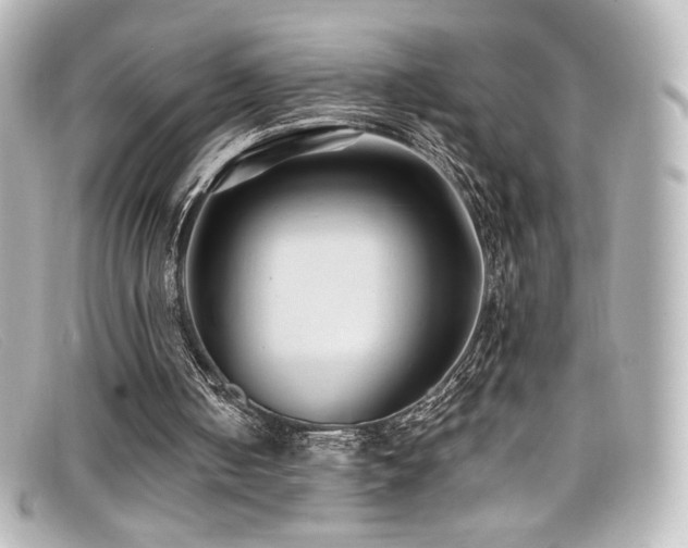 X0000099380050200805081455