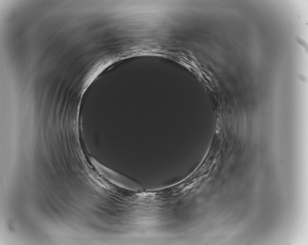 X0000099380052200805081455