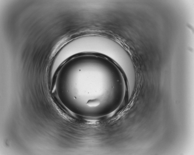 X0000099380053200805081455