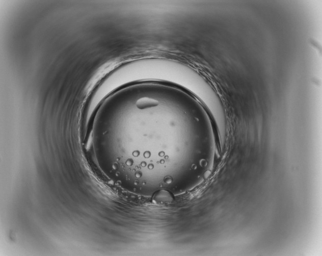 X0000099380054200805081455