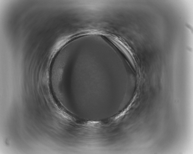 X0000099380055200805081455