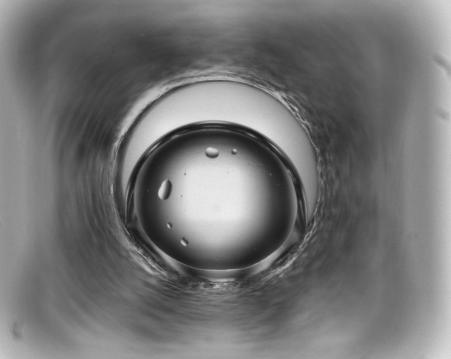 X0000099380056200805081455