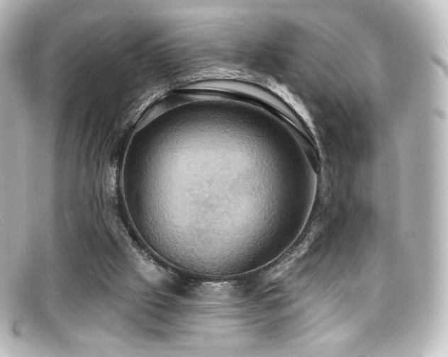 X0000099380057200805081455