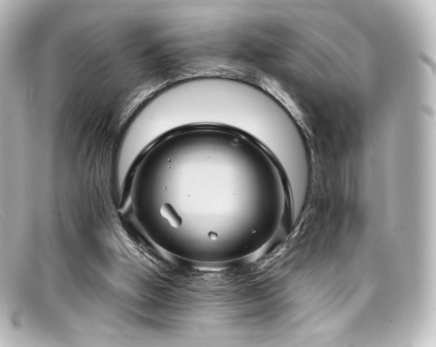 X0000099380058200805081455