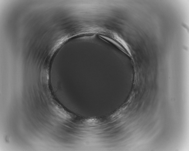 X0000099380059200805081455