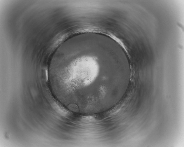 X0000099380061200805081455