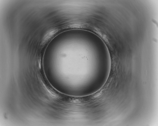 X0000099380062200805081455