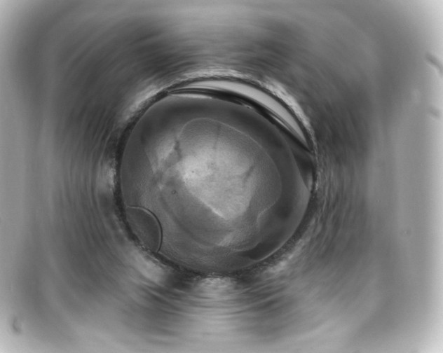 X0000099380063200805081455