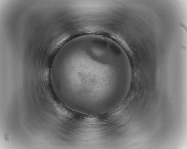 X0000099380066200805081455