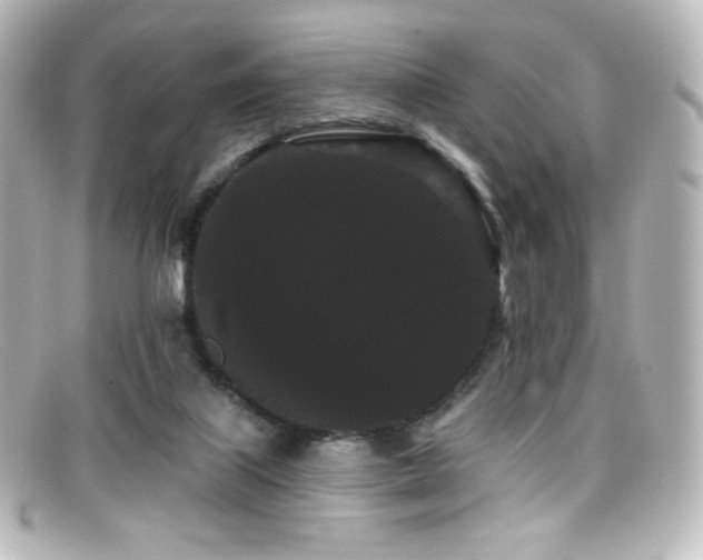 X0000099380067200805081455