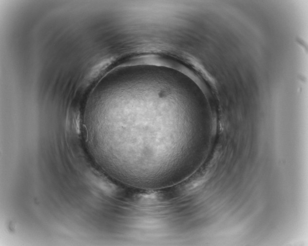 X0000099380068200805081455