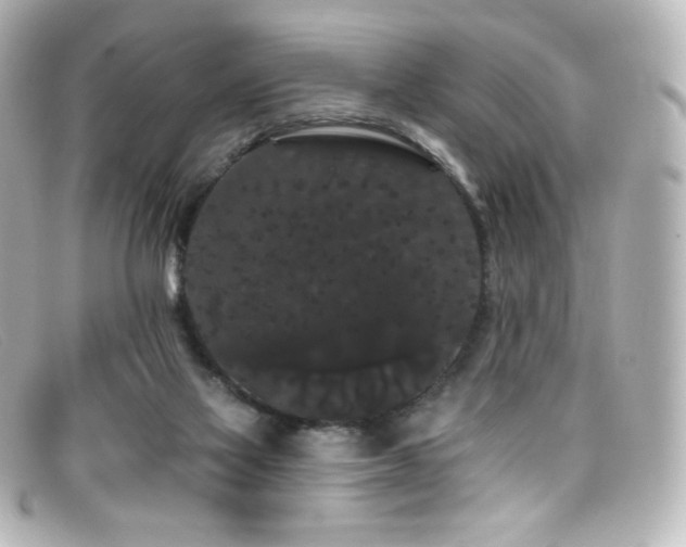 X0000099380069200805081455