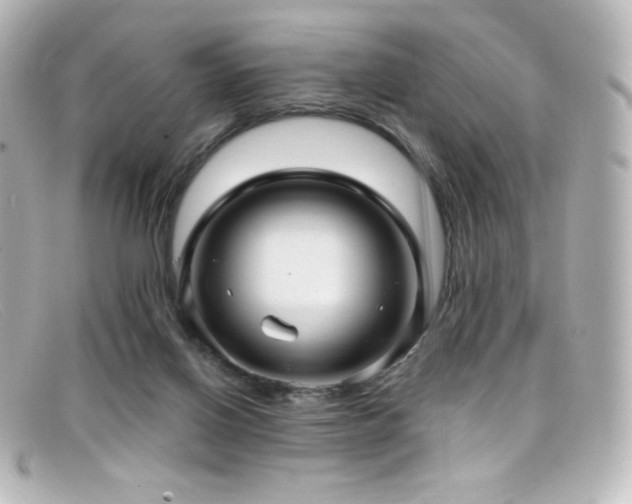 X0000099380070200805081455