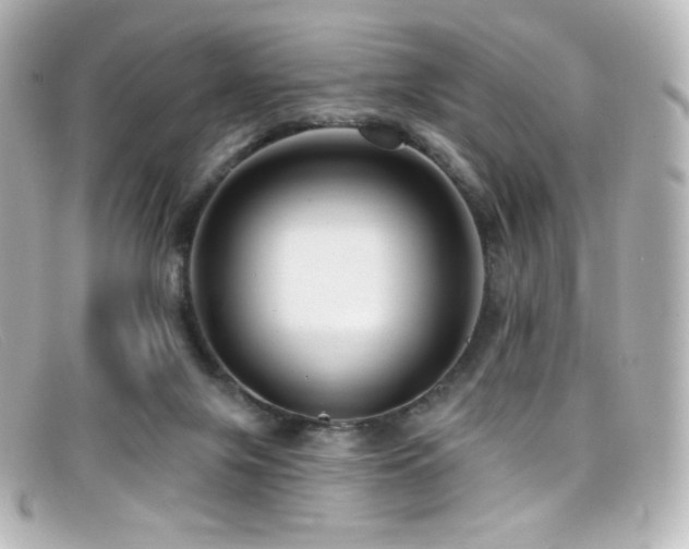 X0000099380071200805081455