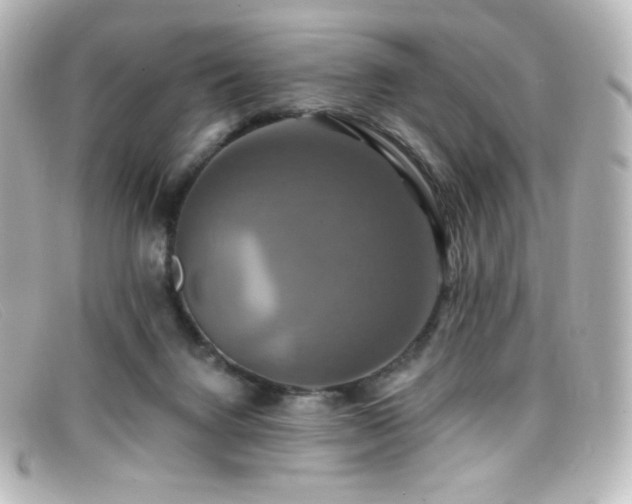 X0000099380072200805081455