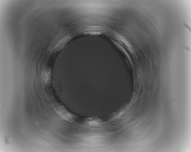 X0000099380073200805081455