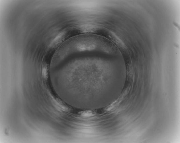 X0000099380074200805081455