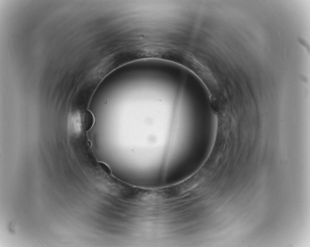 X0000099380075200805081455