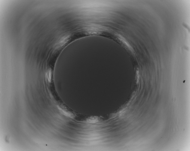 X0000099380076200805081455