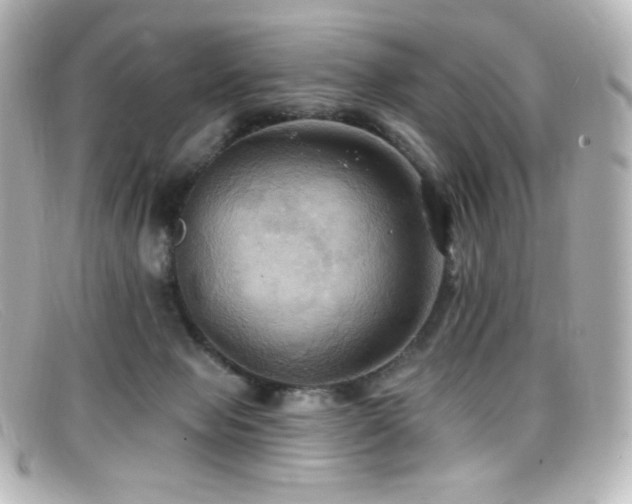 X0000099380077200805081455