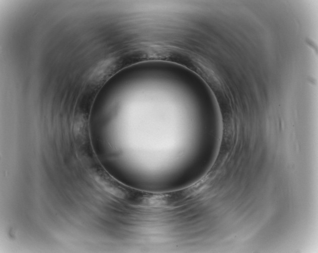 X0000099380078200805081455