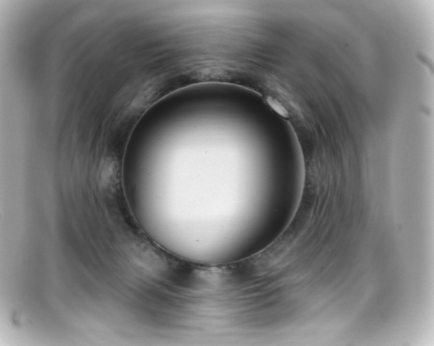 X0000099380079200805081455