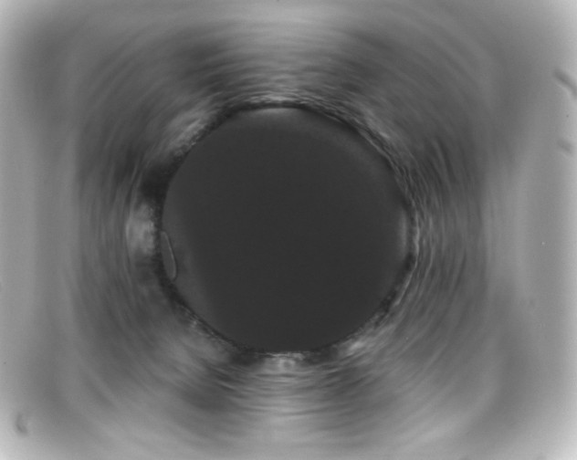 X0000099380080200805081455