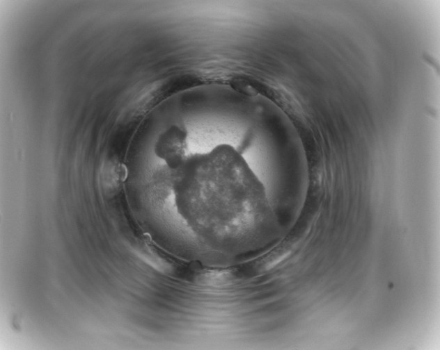 X0000099380081200805081455