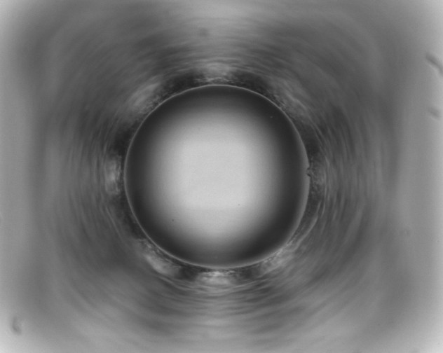 X0000099380082200805081455