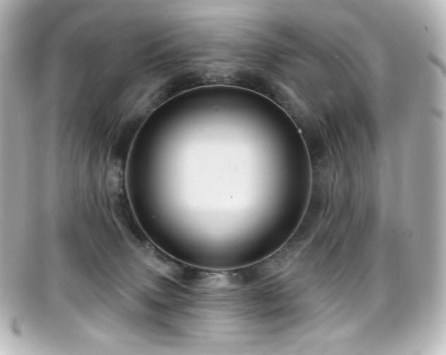 X0000099380083200805081455