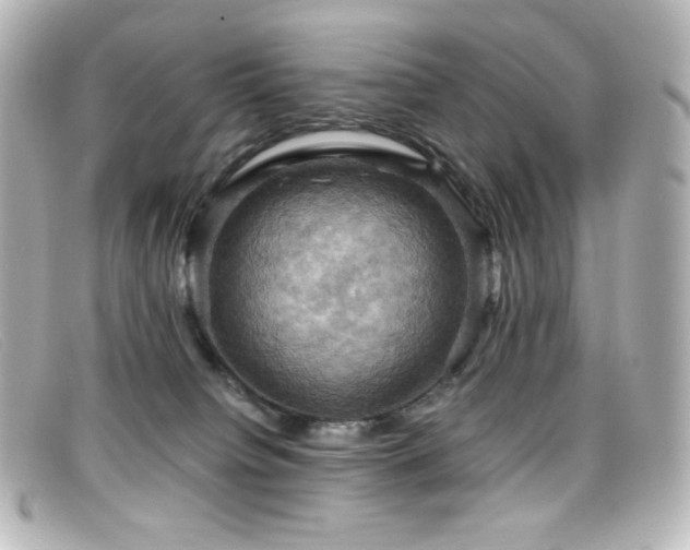 X0000099380084200805081455