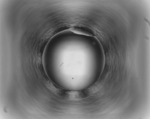 X0000099380085200805081455