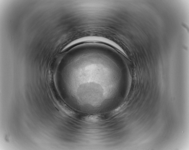 X0000099380086200805081455