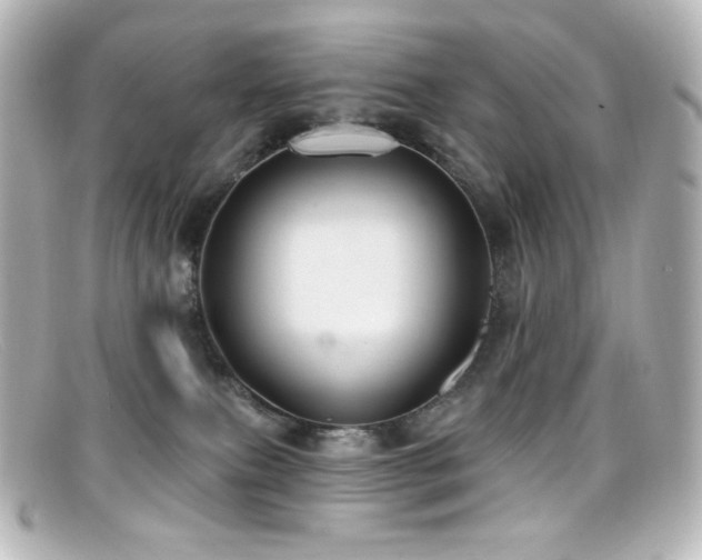 X0000099380087200805081455