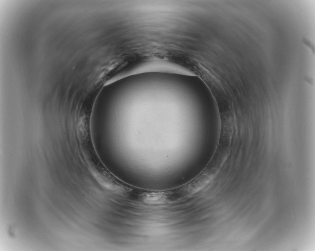 X0000099380088200805081455