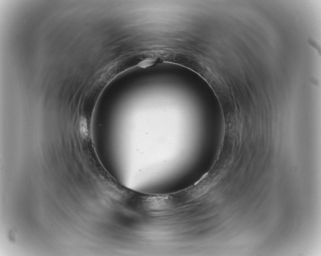 X0000099380089200805081455