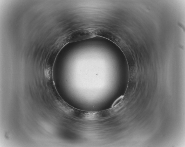 X0000099380090200805081455