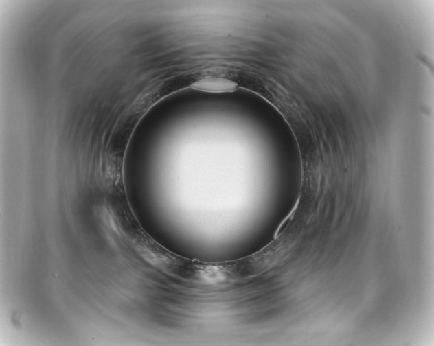 X0000099380091200805081455