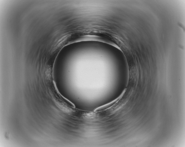 X0000099380092200805081455