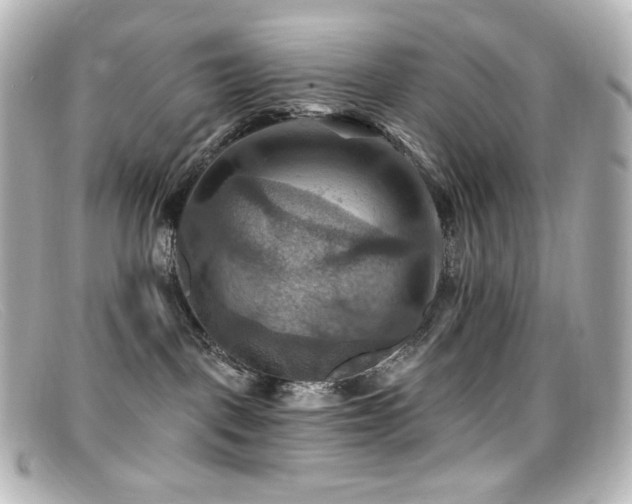 X0000099380093200805081455