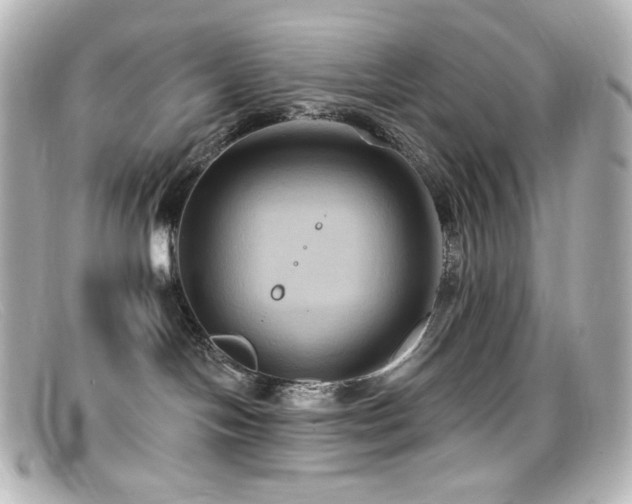 X0000099380094200805081455