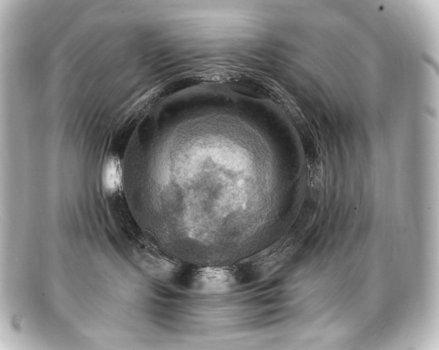 X0000099380095200805081455