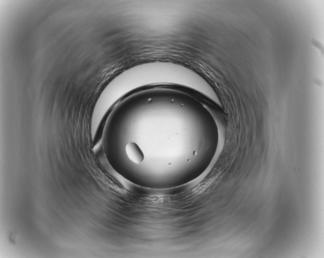 X0000099380096200805081455