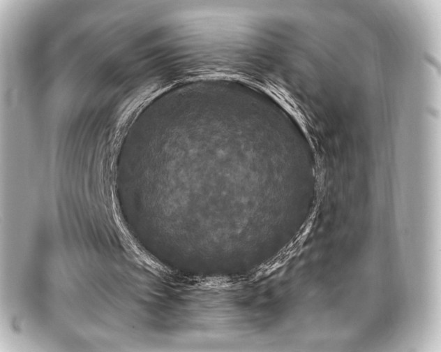 X0000099380097200805081455