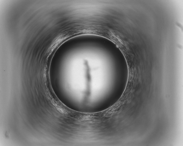 X0000099380098200805081455