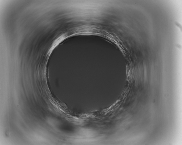 X0000099380099200805081455