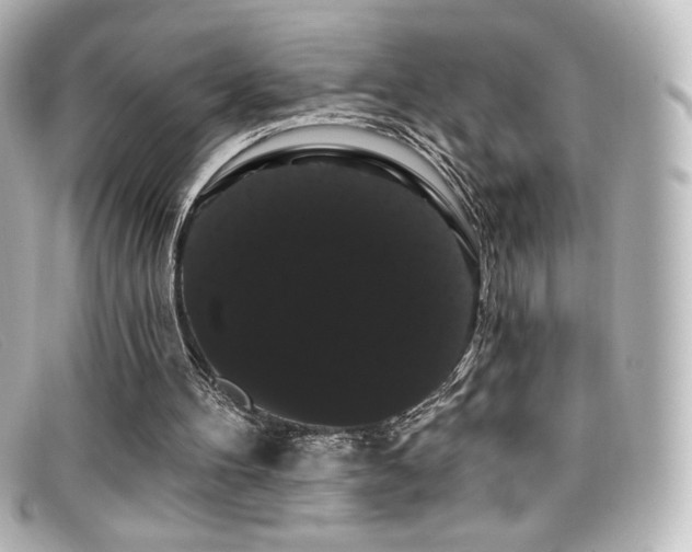 X0000099380100200805081455