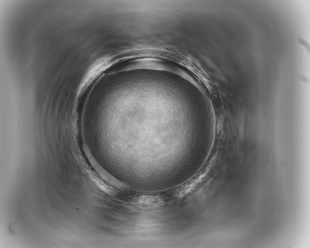 X0000099380101200805081455