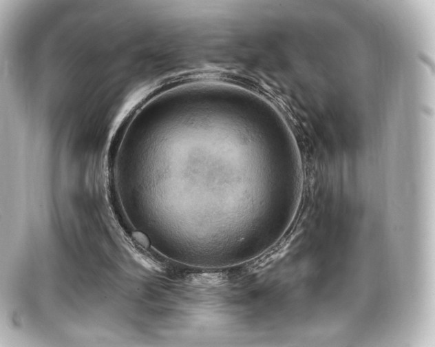 X0000099380102200805081454